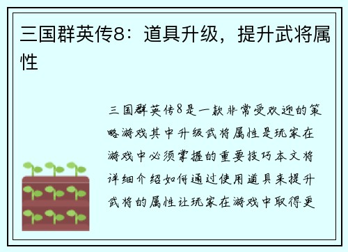 三国群英传8：道具升级，提升武将属性